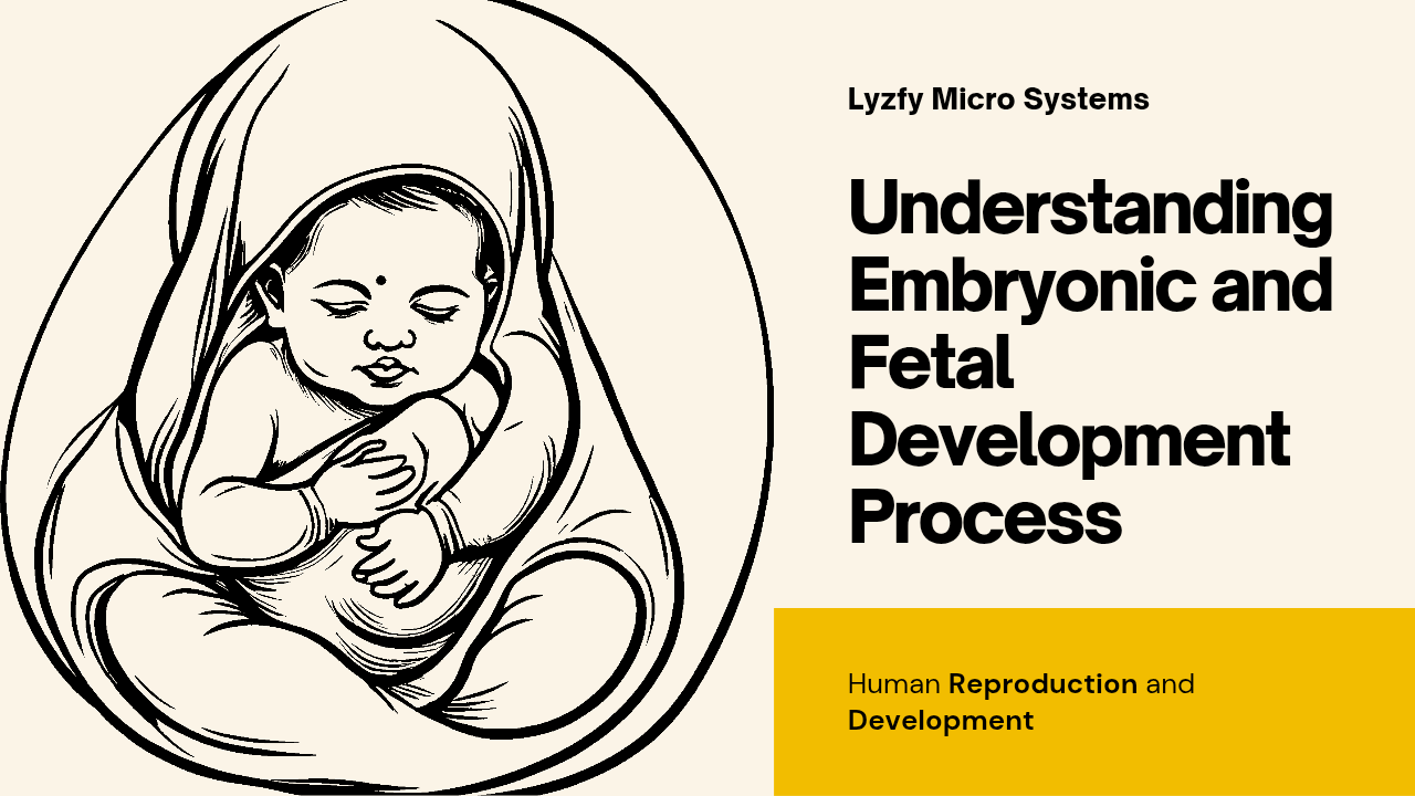 Embryonic and Fetal Development