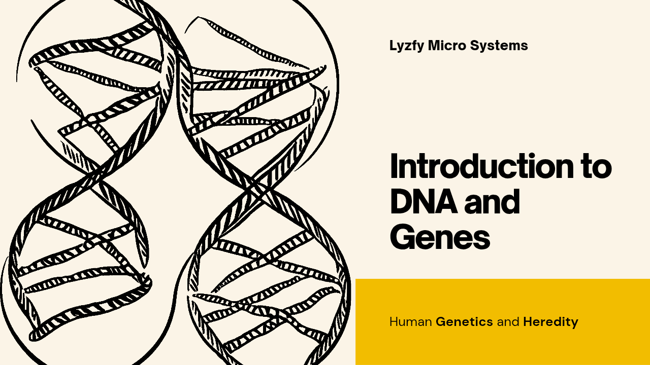 Introduction to DNA and Genes